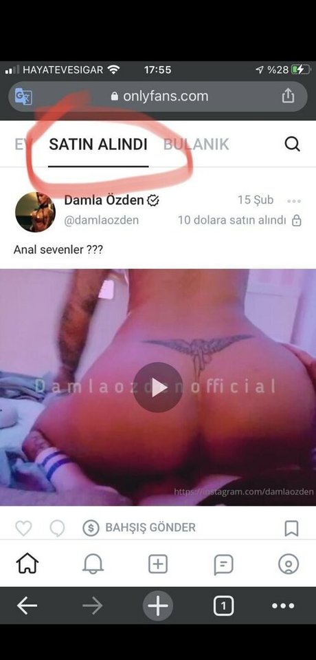 Damlaozden photo 12