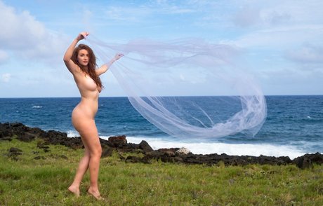 Dane Halo photo 6