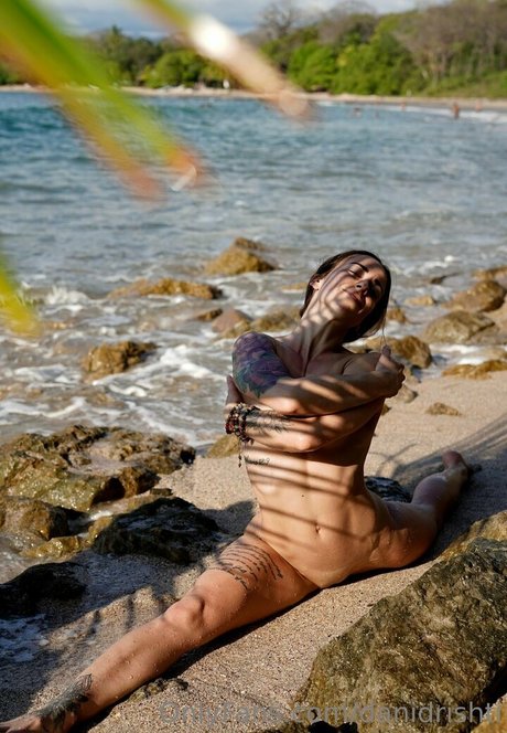 Danidrishti photo 15