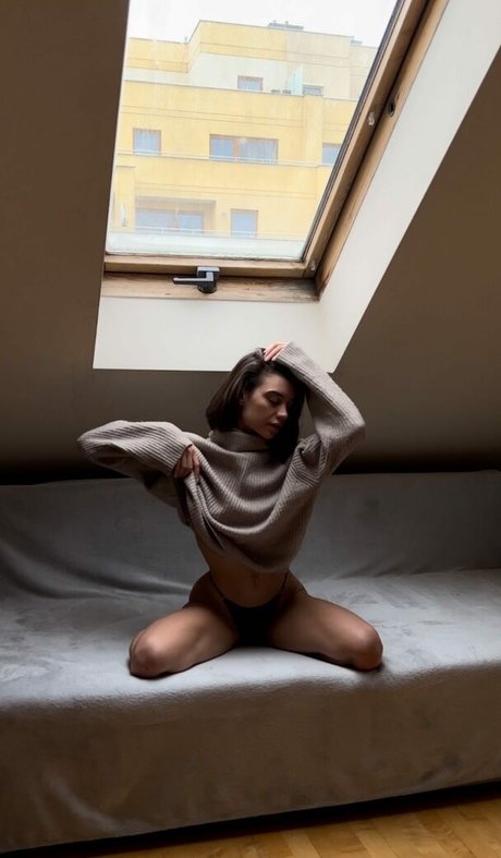 Darizoda photo 3