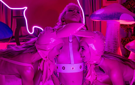 Demon Poptart photo 2