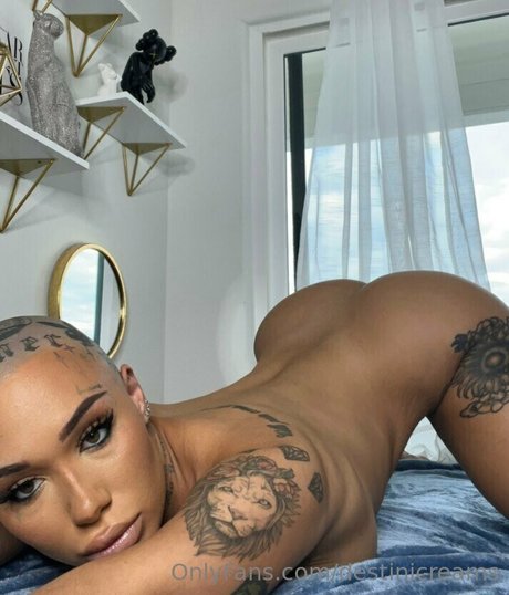 Destinicreams photo 8