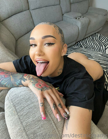 Destinicreams photo 202