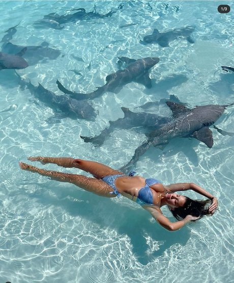 Devin Brugman photo 288
