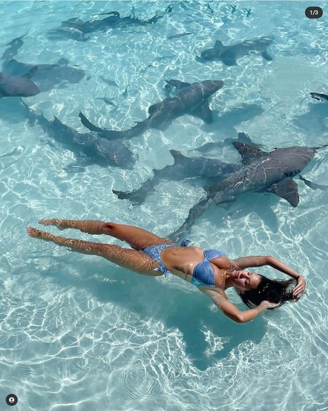 Devin Brugman photo 573