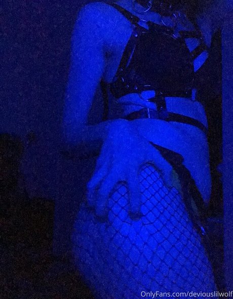 Deviouslilwolf photo 21