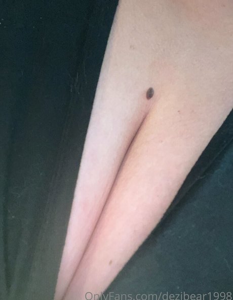 Dezibear1998 photo 42