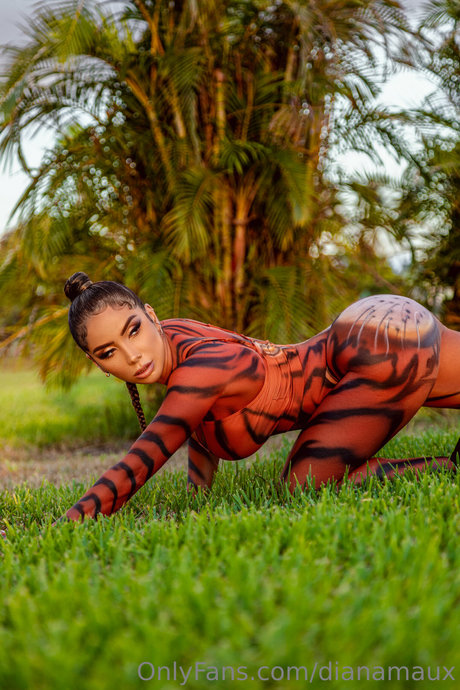 Diana Maux photo 18