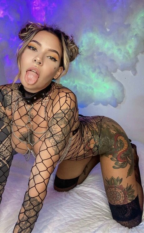 Diandra Cox photo 412