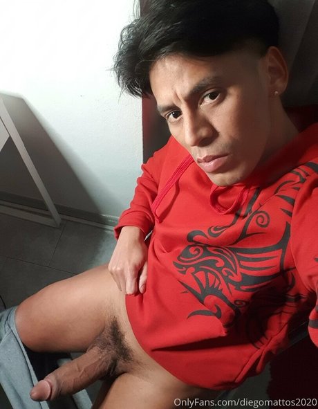 Diegomattos2020 photo 76