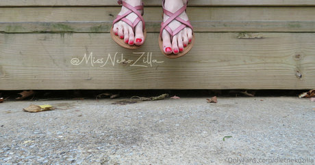 Dietnekozilla photo 4