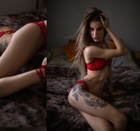 DinaCat photo 44