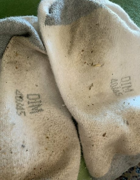 Dirtysockscousins photo 13