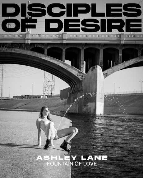 Disciples of Desire photo 23