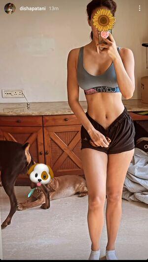 Disha Patani photo 8