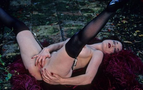 Dita Von Teese photo 25