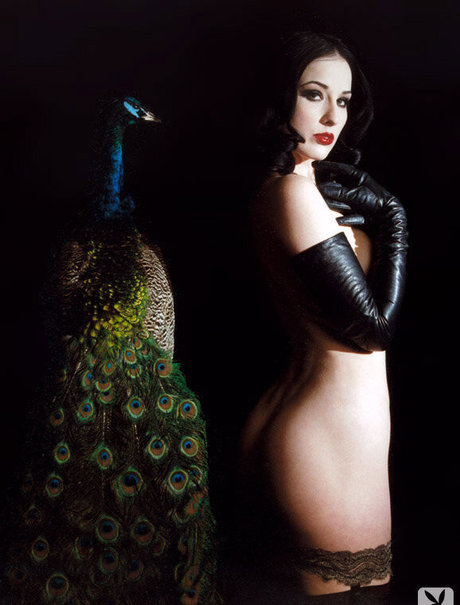 Dita Von Teese photo 87