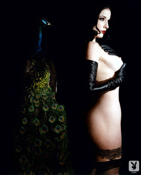 Dita Von Teese photo 88
