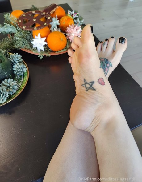 Ditteslegsandfeet photo 56