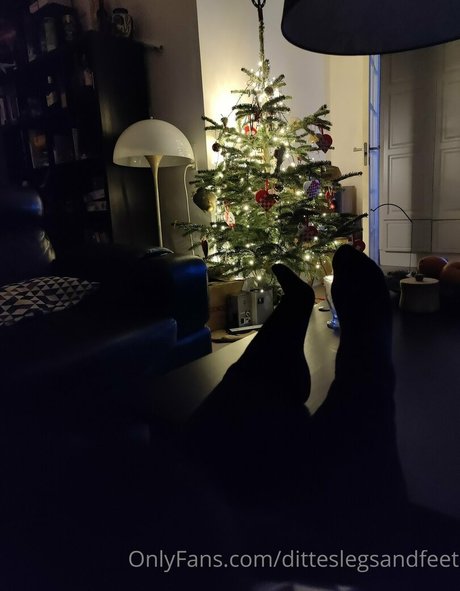 Ditteslegsandfeet photo 62
