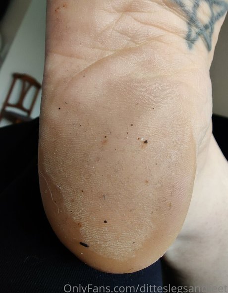 Ditteslegsandfeet photo 113