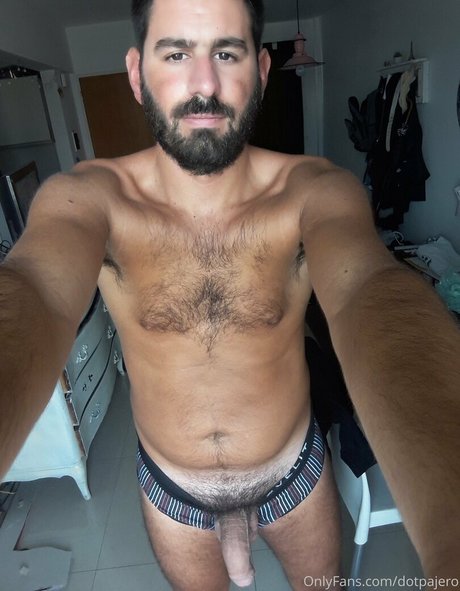 Dotpajero photo 49