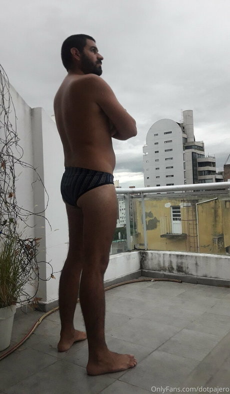 Dotpajero photo 52