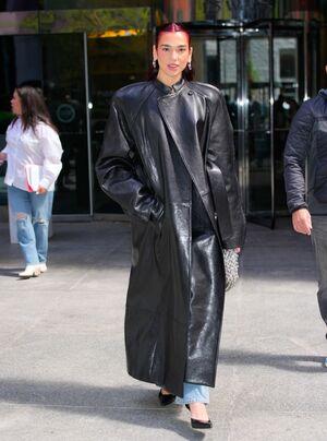 Dua Lipa photo 479
