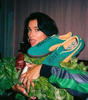 Dua Lipa photo 1099