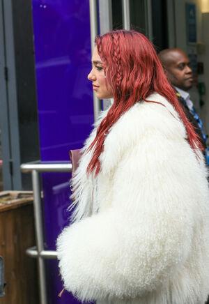 Dua Lipa photo 1165