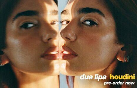 Dua Lipa photo 1195