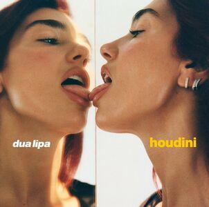Dua Lipa photo 1202