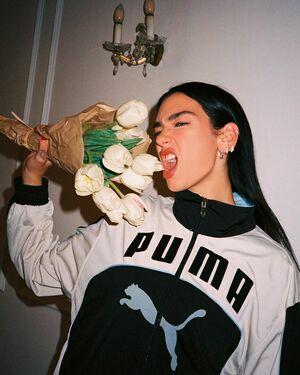 Dua Lipa photo 1445