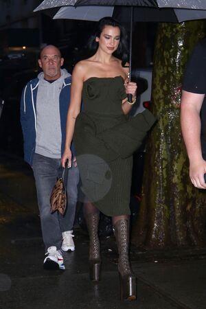 Dua Lipa photo 1773