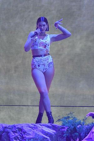 Dua Lipa photo 2347