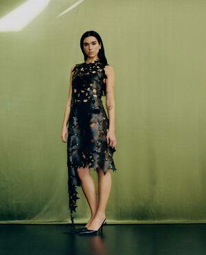 Dua Lipa photo 2495