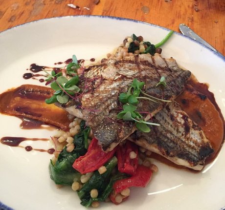 Elizabeth M photo 166