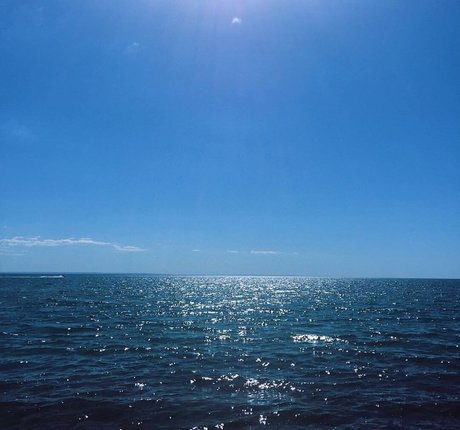 Elizabeth M photo 208