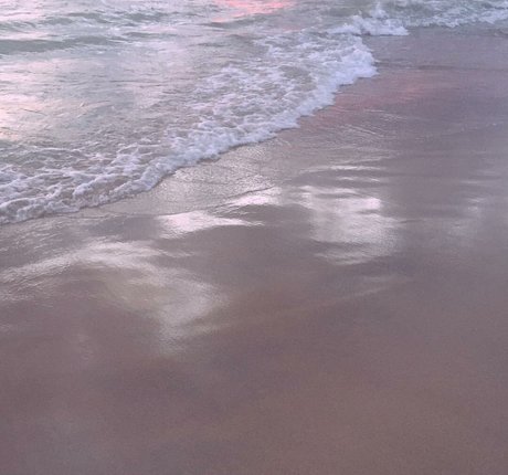 Elizabeth M photo 213