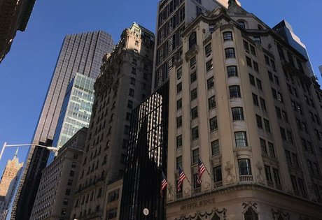 Elizabeth M photo 219