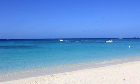 Elizabeth M photo 236