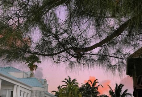 Elizabeth M photo 240