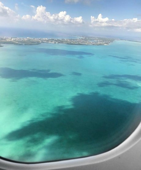 Elizabeth M photo 241