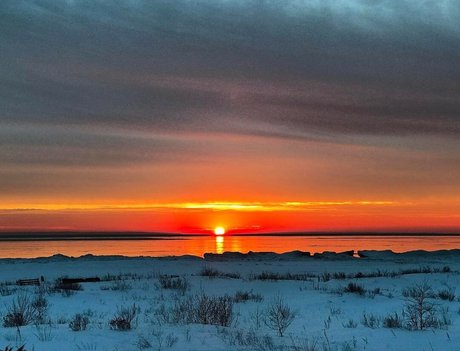 Elizabeth M photo 252