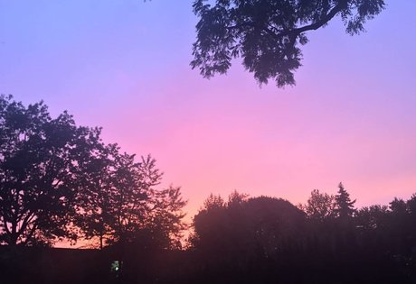 Elizabeth M photo 430