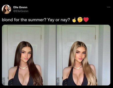 Ellegrenn photo 6