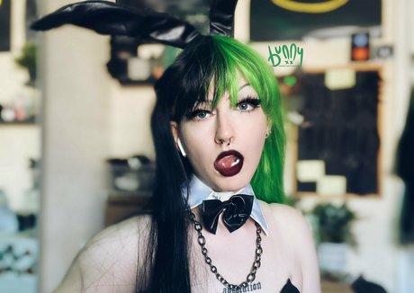 Elliloretta photo 19