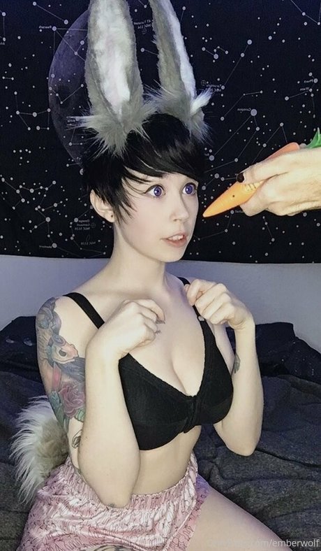 Emberwolf photo 17