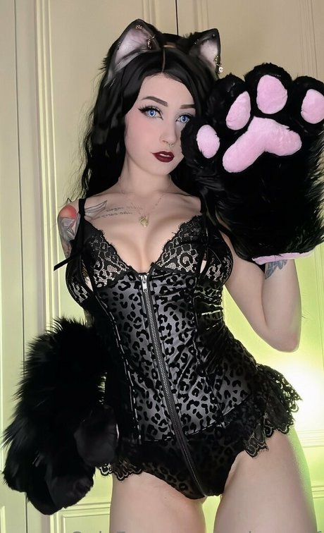 Emberwolf photo 18