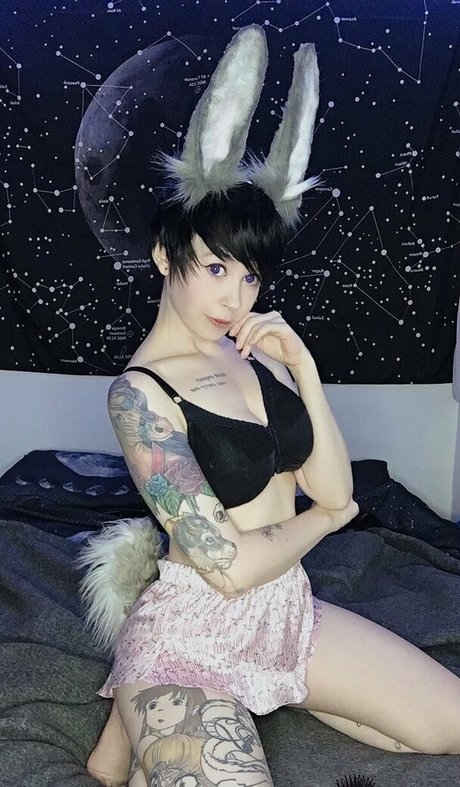Emberwolf photo 66